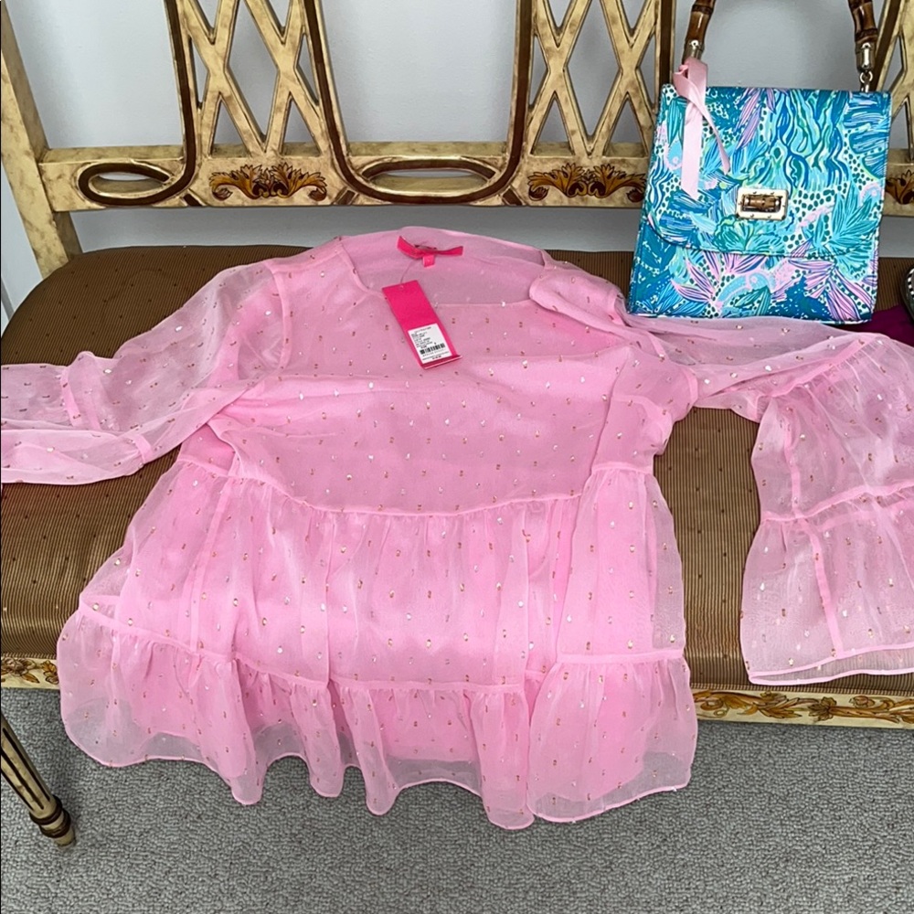 Pink Sheer Ruffle Blouse - Picture 1 of 4